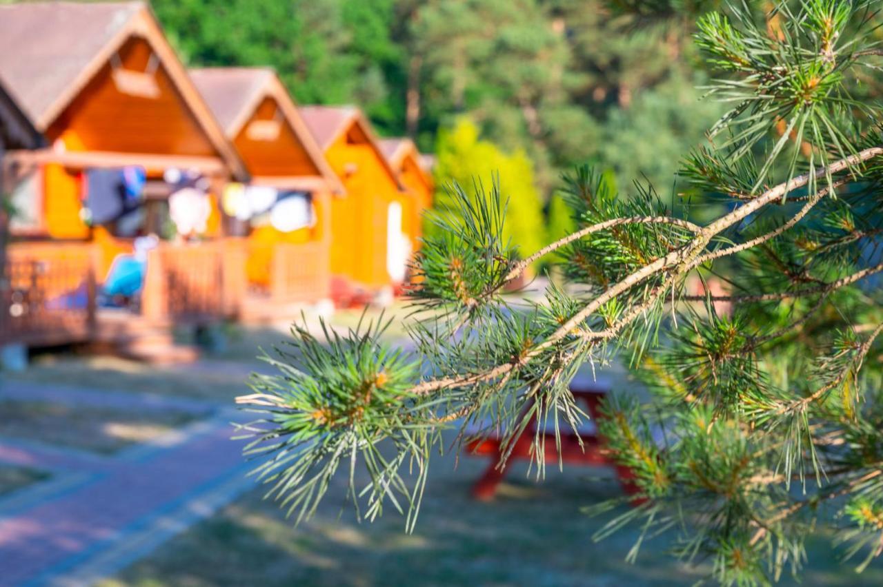 Domki Letniskowe I Pokoje Savana Nad Morzem Jaroslawiec Bagian luar foto